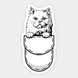 Funny Persian Pocket Cat Sticker